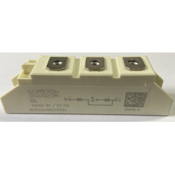 SKKD81-22H4 SKKD81-22H4