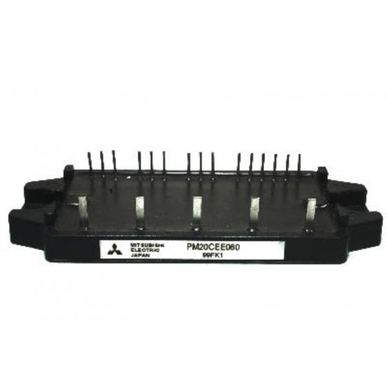 PM20CEE060